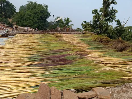 brooms-hill-tribal-odisha-sun-drying-30stades