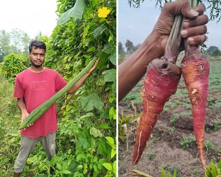 salai-arun-seed-saver-ribbed-gourd-30stades