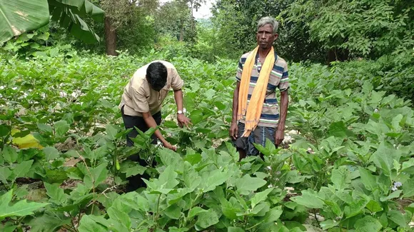 Nutri-gardens-organic-odisha-Dr-lele-30stades
