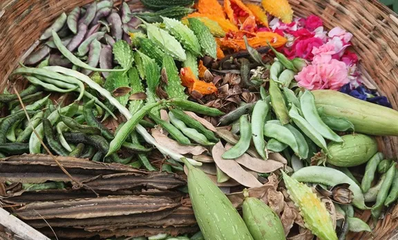 swaroopa-seed-saver-telangana-cluster-beans-30stades