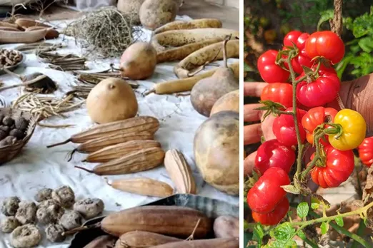 swaroopa-seed-saver-telangana-gourds-30stades