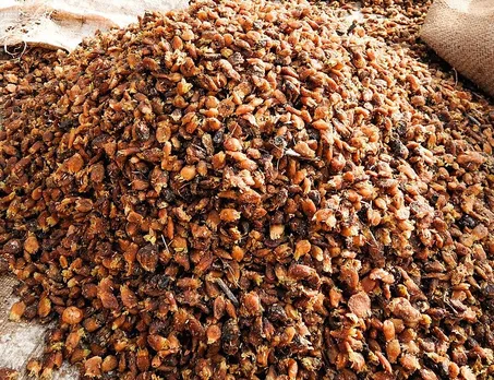 mahua-superfood-dried-flowers-30stades
