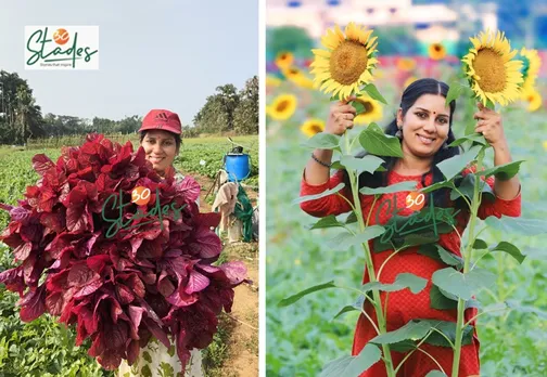 sreevidya-kasargod-farmer-sunflower-30stades