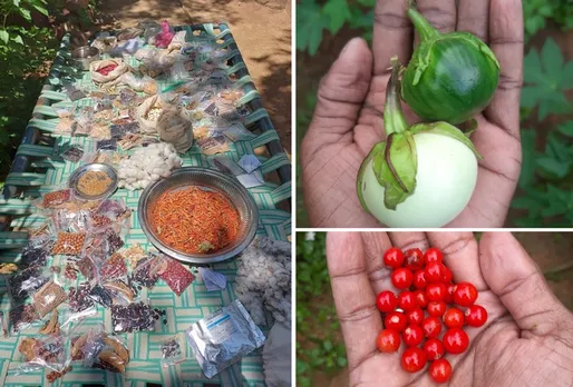 Sundar-r-seed-saver-pondicherry-packets-30stades