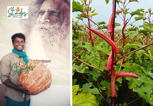 Sundar-r-seed-saver-pondicherry-pumpkin-30stades