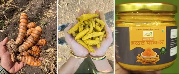 vinod-todkar-turmeric-packaged-30stades