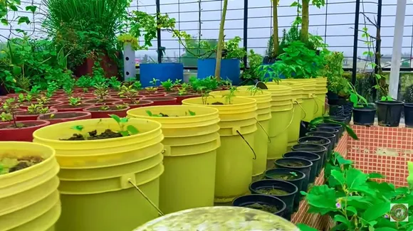 rooftop-gardening-small-space-buckets-30stades