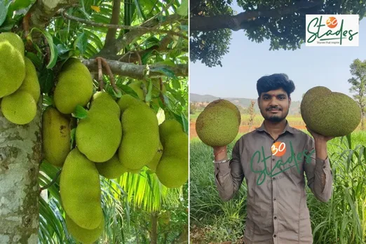 Tejas-powar-jackfruit-crop-30stades