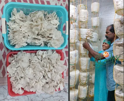 moonkoon-mushroom-nurse-husband-30stades