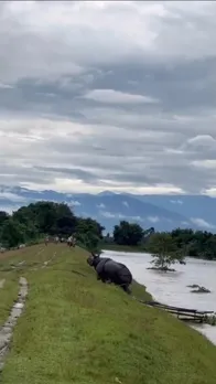 WhatsApp Image 2025-10-05 at 5.58.19 PM