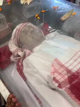 c8e8d689-7a08-4430-8ad6-376e134d449a