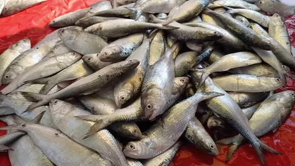 8bb8af15-9d22-4424-9631-34765f1626a5