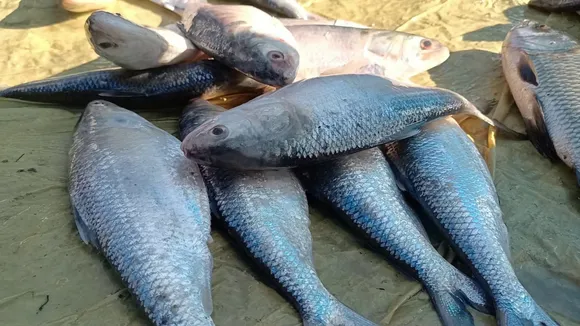 e9a89910-cfd3-49b7-8ba6-ca06bbb4c2c5