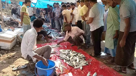 ed154596-b78b-4ca8-921d-d6eb3feef337