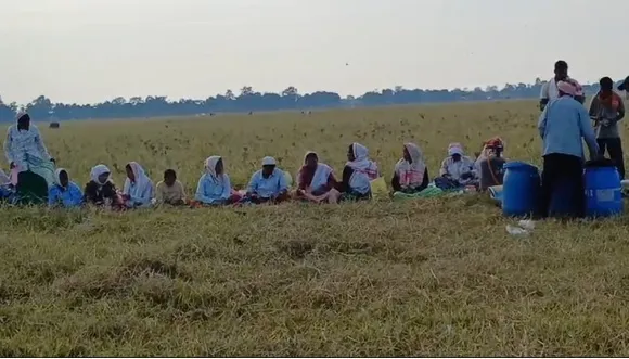 1d5c79a8-b13e-4cb1-b52a-df88e040e3b3