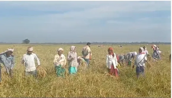 7c8cac24-32ce-43fb-867d-c788b5ecad9a