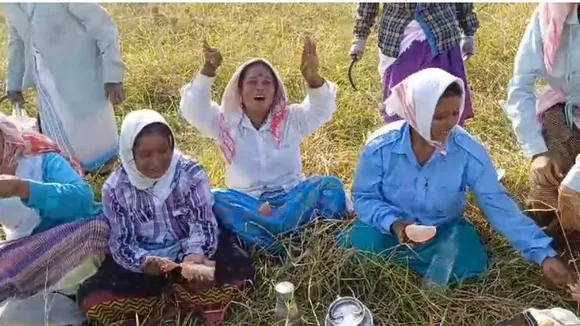 fe64ea8a-912e-49be-a8bb-ffd6ee62f825