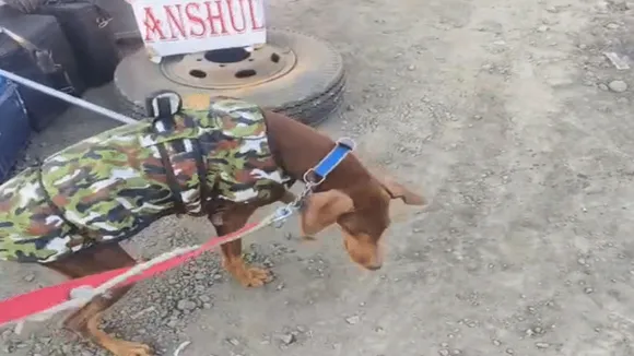 Sagar-Accident-update