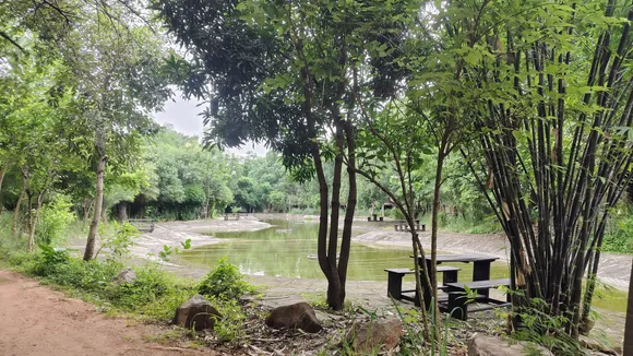Fishing Pond Inside The Resort