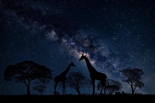 Milky Way from Kenyan National Park