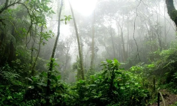 rain-ground