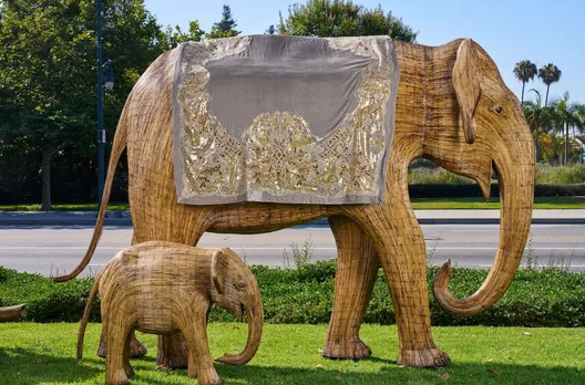 Elie Saab's Blanket