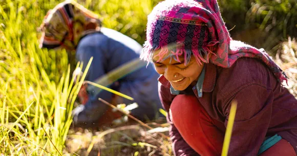 Rural women across India are proving how small farms, when nurtured sustainably, can secure futures with dignity.