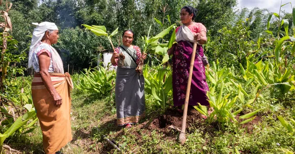 With bio-resource centres, women prepare compost, natural repellents, and seedlings, strengthening farming across villages.