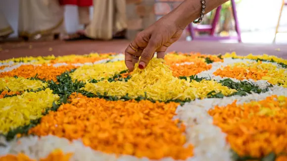 Sujith planted over fifteen varieties of flowers, including bendhi (marigold), vadamulla (globe amaranth), and pichipoo (a jasmine variety)