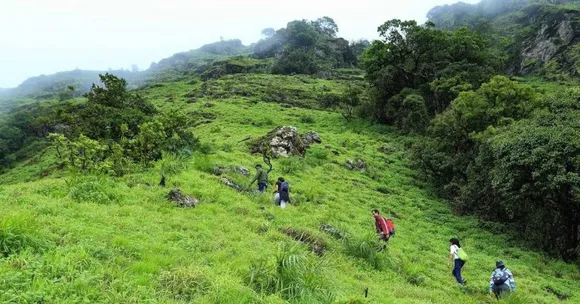 You can split a jeep ride with others or negotiate a round-trip auto-rickshaw to reach Mullayanagiri