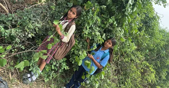 The children across the villages of Mirzapur have to endure a walk through a forest to get to school