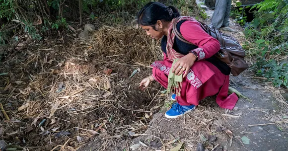Compost has become central to Jharkhand’s regenerative farming, with 600 kg needed per acre to revive soil health.