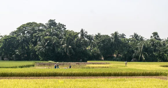 About 50–55% of Jharkhand’s land is upland and erosion-prone, making soil and water conservation vital for farming.