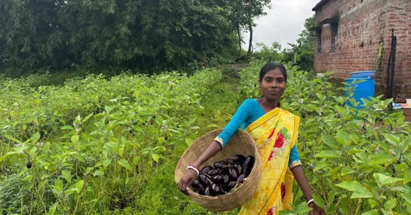 With regenerative farming, Sushanti Bhagat now cultivates multiple crops on her 1.5-acre land in Sanatol village.
