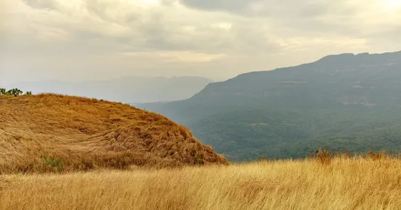 The slash and burn cultivation was seriously destroying the land in the Sahyadri belt of Maharashtra
