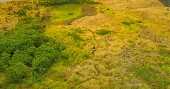 Today one million trees stand on the land of the Dharana at Shillim estate