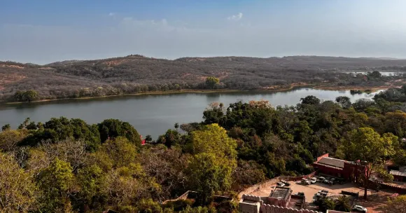 From the fort’s summit, Padam Talao sparkles below — a mirror to the wild and a reminder of how history and nature intertwine in Ranthambore.
