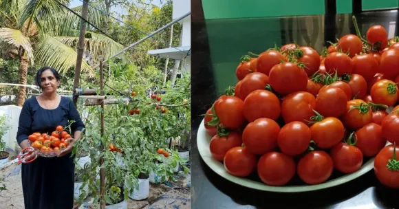Sheeja started with simple crops like tomatoes and other vegetables.