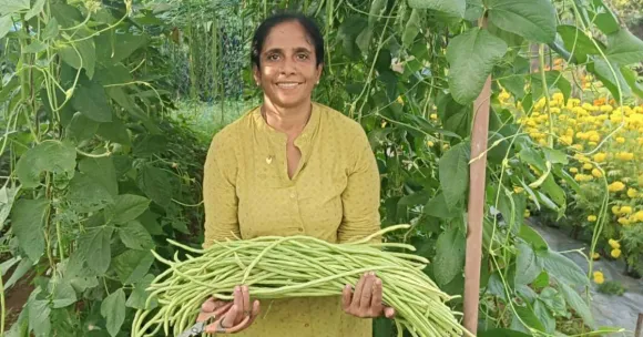 Managing single-handedly, Sheeja runs a self-sustaining farm with exotic fruits, veggies, and beekeeping.