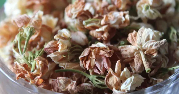 composting puja waste