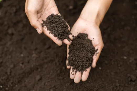 composting puja waste