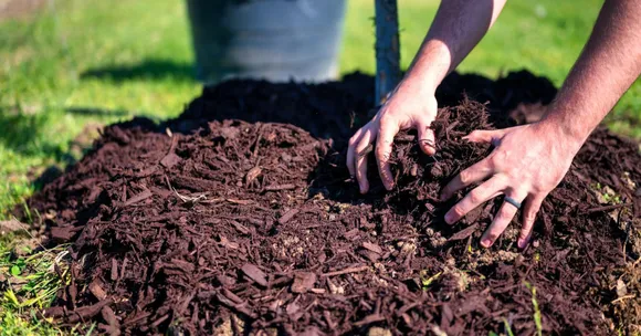 natural soil recharge after monsoon