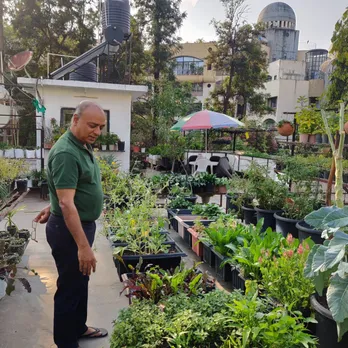 no-soil terrace garden Pune