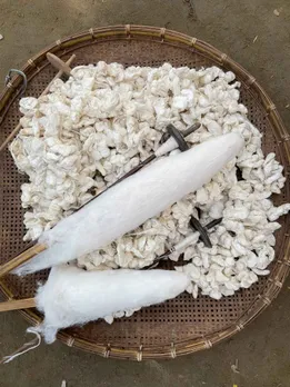 Eri silk cocoons and spindles