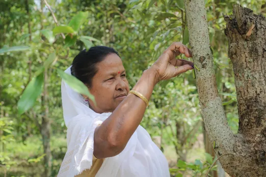 Muga sericulture farmer Kunja Phukan with her spring rearing 2025