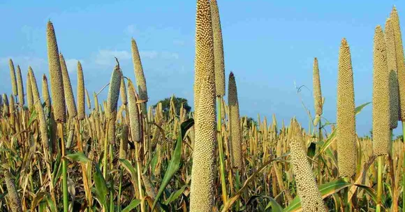 Harvesting kharif crops