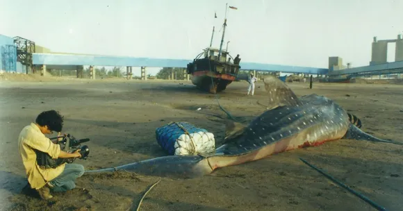 wildlife conservation (6)