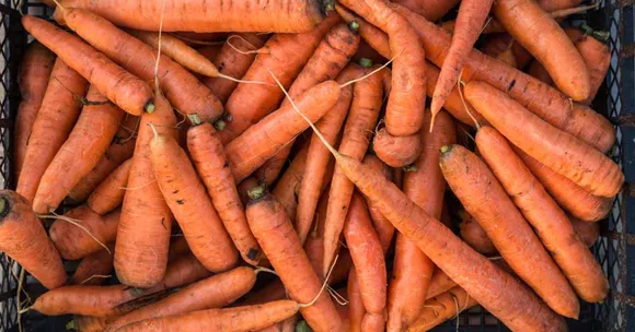 harvesting and storing autumn crops