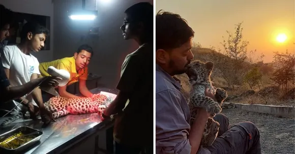 wildlife conservation (1)