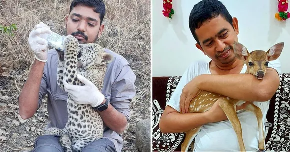 wildlife conservation (2)